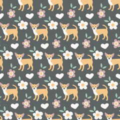 Sweet cute seamless repeat chihuahua dog puppy pet animal vector pattern on dark pastel background 