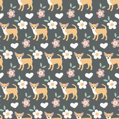 Fototapeta premium Sweet cute seamless repeat chihuahua dog puppy pet animal vector pattern on dark pastel background 