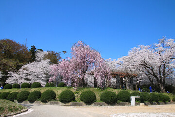 月岡公園（山形県・上山市）