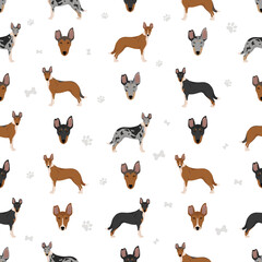 Smooth Collie coat colors, different poses seamless pattern