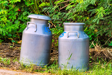 Obraz premium Transports Raw milk to the embodiment cooperatives in morning.