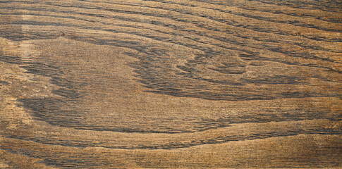 Wooden natural brown oak texture. Copy space