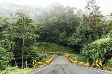 View of a wet road surrounded by vegetation on a foggy day. Travel and nature concept.