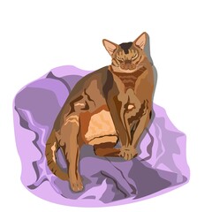 A fat ginger cat is sitting on a lilac blanket. An Abyssinian cat. Flat realism.