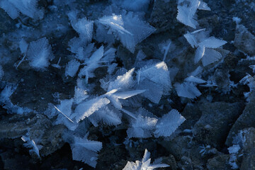 Eiskristalle am Boden	