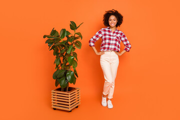 Photo of adorable shiny woman wear plaid shirt gardening huge pant isolated orange color background
