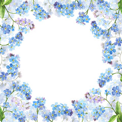 Watercolor spring flowers - forget me nots. Frame of flowers, botanical illustration