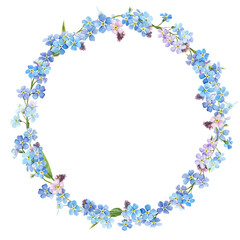 Watercolor spring flowers - forget me nots. Wreath of spring flowers, botanical illustration