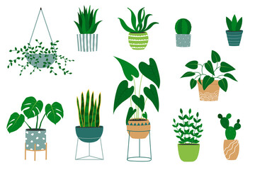 Set of hand drawn houseplants in flowerpots. Alocasia plant, cactus, monstera, jade plant, aloe