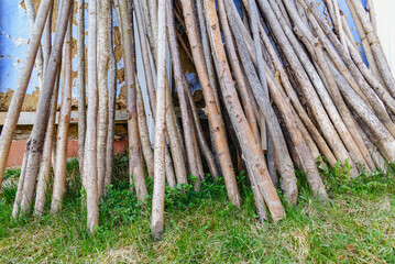 wooden sticks on the grass