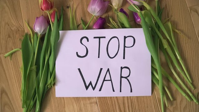 Motivational packard with text Stop war against armored conflict in Ukraine with flowers on refugee center floor. Crisis, peace, stop aggression in whole world