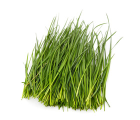 Bunch of green grass.