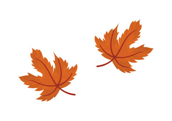 illustration of brown leaves with autumn theme, on white background