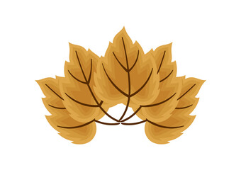 illustration of brown leaves with autumn theme, on white background