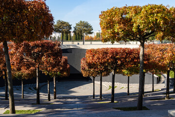 Amphitheater in Roman style. Majestic oaks with red leaves on terraces of amphitheater. Public...