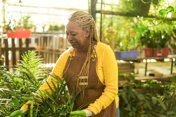 African woman working inside greenhouse garden - Focus on right hand