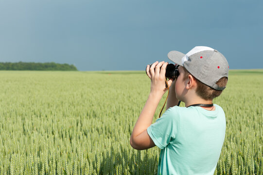 A boy looks through binoculars in the middle of the green wheat field