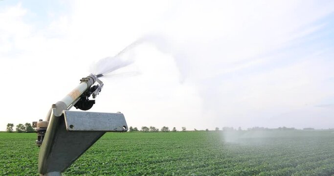 Irrigation system rain gun sprinkler on agricultural soybean field helps to grow plants in the dry season, slow motion. Landscape rural scene beautiful sunny day