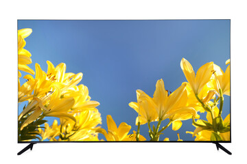 Modern wide screen TV monitor showing beautiful yellow lilies isolated on white