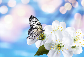 Beautiful butterfly and tiny flowers on light blue background, bokeh effect. Awesome spring blossom