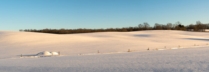 winter landscape with snow