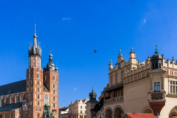 Obraz premium Basilica of St. Mary on the main market square of Krakow on a sunny day, a dove spread its wings beautifully in the blue sky. Tourist attractions in Poland, travel itineraries
