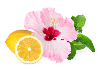 Beautiful hibiscus flower, juicy ripe lemon and mint on white background