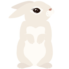 Symbol of the Year Rabbit vector clipart