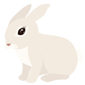 Symbol of the Year Rabbit vector clipart