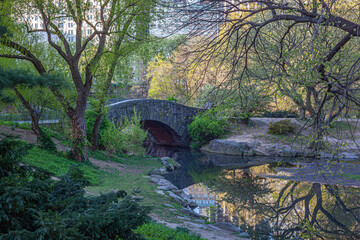 Fototapeta na wymiar Gapstow Bridge in Central Park
