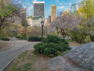 Central Park in spring