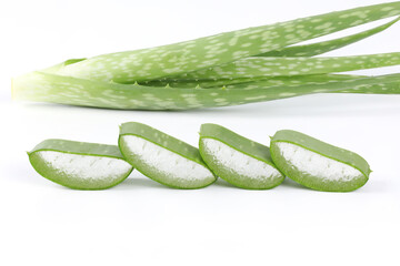 Close-up Fresh Aloe vera sliced with water drops isolated on white background..