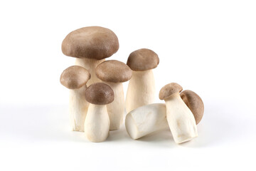 Oringi mushroom or King trumpet mushroom or Royal oyster mushroom or Eringi mushroom, on a white background. a white background.
