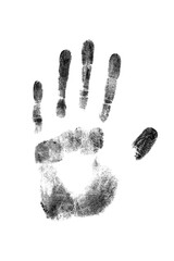 Watercolor palm print, isolate on white background.