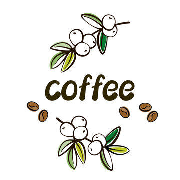 Coffee - an inscription and a branch of a coffee tree with leaves and grains. Natural Coffee concept. Simple black line outline, typography, logo. Design elements