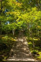 Access stairs to Jojakko-Ji Buddhist Temple in the Arashiyama District woods, Kyoto