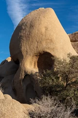 Foto op Plexiglas Skull Rock im Joshua Tree Nationalpark / Kalifornien / USA / Palm Springs © Martin