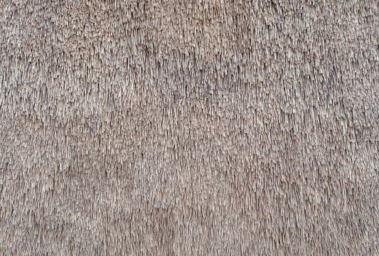 Straw pattern of roof or wall. Thatched roof texture background.