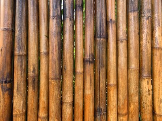 Bamboo fence background and texture