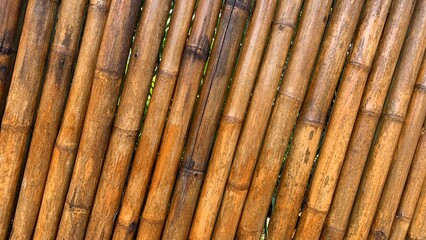 Bamboo fence background and texture
