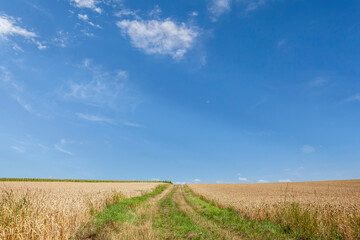Feldweg zwischen Getreidefeldern