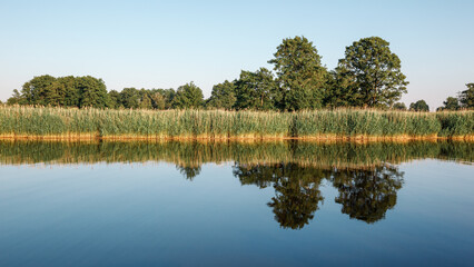 Landscape of the lagoon coast and its vegetation. Quiet evening, mirrored water and reflections of...
