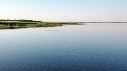 Calm water of the lagoon and a small swarm of ducks in the distance.