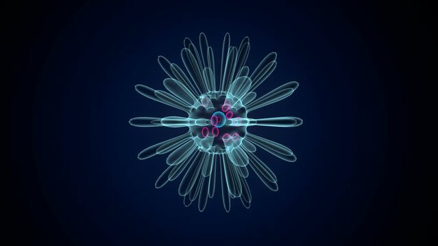 3d illustration of actinophyrs anatomy