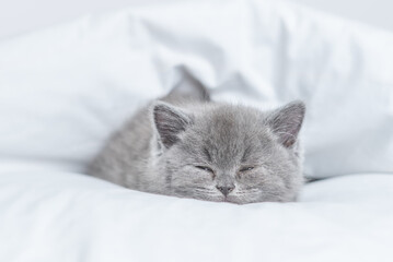 Fototapeta na wymiar Cozy kitten sleeps from under white warm blanket on a bed at home