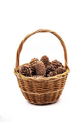 Fototapeta na wymiar Cedar cones with pine nuts in wicker basket on a white background.