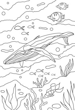 Anti stress coloring book for adults, children. Sea series of coloring books. Line art design for adult or kids coloring pages in zentangle style. For print. Set of vector illustrations.whales,ocean