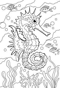 Anti stress coloring book for adults, children. Sea series of coloring books. Line art design for adult or kids coloring pages in zentangle style. For print. Set of vector illustrations. Sea Horse