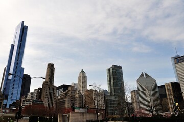 Buildings in Chicago,