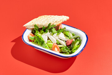 Vegetarian green salad on trendy red background with hard shadow. Green bowl with vegetables and tofu in minimal style. Contemporary food menu. Healthy food in modern concept.